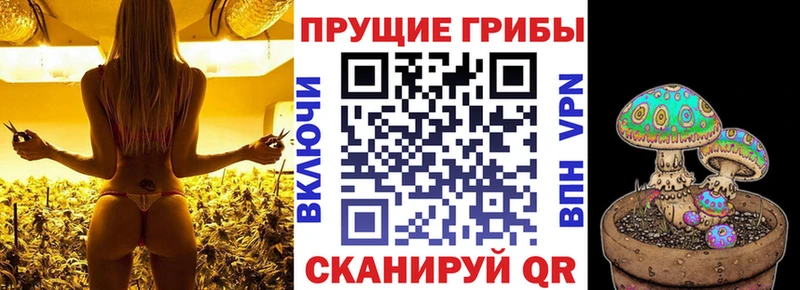 MEGA маркетплейс Енисейск Псилоцибиновые грибы мицелий
